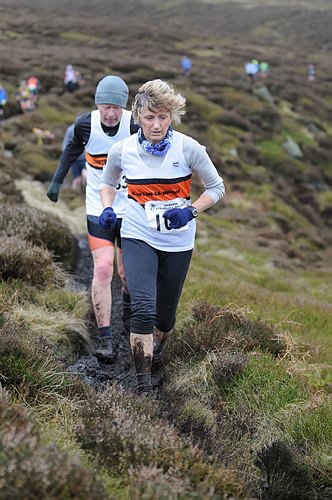 Photo DSC_5299.jpg copyright &copy; 2013 Paul Wood