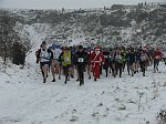 Click on thumbnail for larger photo
