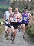 Click on thumbnail for larger photo