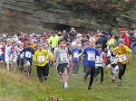 Click on thumbnail for larger photo