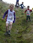 Click on thumbnail for larger photo