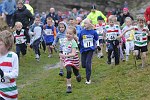 Click on thumbnail for larger photo
