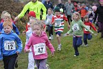 Click on thumbnail for larger photo