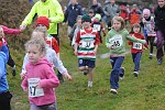 Click on thumbnail for larger photo