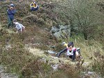 Click on thumbnail for larger photo