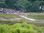 Click on thumbnail for larger photo