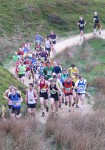 Click on thumbnail for larger photo