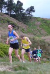 Click on thumbnail for larger photo