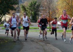 Click on thumbnail for larger photo