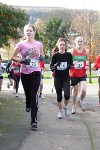 Click on thumbnail for larger photo