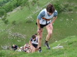 Click on thumbnail for larger photo
