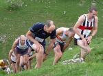 Click on thumbnail for larger photo