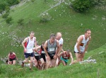 Click on thumbnail for larger photo