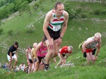 Click on thumbnail for larger photo