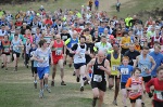 Click on thumbnail for larger photo