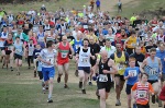 Click on thumbnail for larger photo