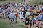 Click on thumbnail for larger photo