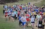 Click on thumbnail for larger photo