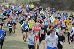 Click on thumbnail for larger photo