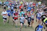 Click on thumbnail for larger photo
