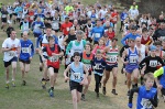 Click on thumbnail for larger photo