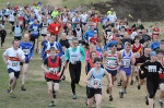 Click on thumbnail for larger photo