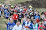 Click on thumbnail for larger photo
