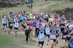 Click on thumbnail for larger photo