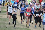 Click on thumbnail for larger photo