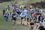 Click on thumbnail for larger photo