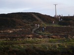Click on thumbnail for larger photo