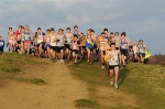 Click on thumbnail for larger photo