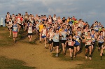 Click on thumbnail for larger photo