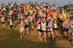 Click on thumbnail for larger photo