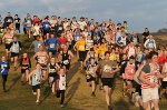 Click on thumbnail for larger photo
