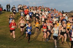 Click on thumbnail for larger photo