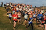 Click on thumbnail for larger photo