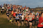 Click on thumbnail for larger photo