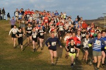 Click on thumbnail for larger photo