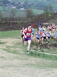 Click on thumbnail for larger photo