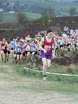 Click on thumbnail for larger photo
