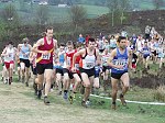 Click on thumbnail for larger photo