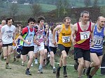 Click on thumbnail for larger photo