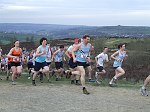 Click on thumbnail for larger photo