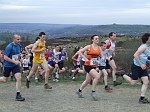 Click on thumbnail for larger photo