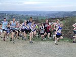 Click on thumbnail for larger photo