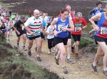 Click on thumbnail for larger photo