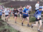 Click on thumbnail for larger photo