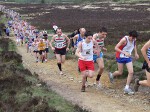 Click on thumbnail for larger photo