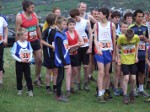 Click on thumbnail for larger photo